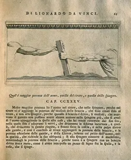 LEONARDO DA VINCI (1452-1519)