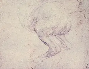 Rearing Prints: Leonardo da Vinci (1452-1519). The hind-quarters of a rearin