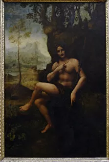 Images Dated 20th February 2008: Leonardo da Vinci (1452-1519). Italian polymath. St. John th