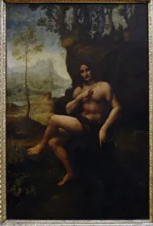 Leonardo da Vinci (1452-1519). Italian polymath. St. John th