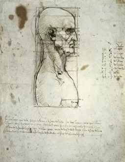 Anatomic Gallery: LEONARDO DA VINCI (1452-1519). Sketch of the