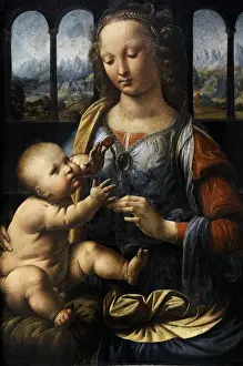 Leonardo da Vinci (1452 A?i? 1519). The Madonna of the Carn