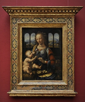Images Dated 26th December 2012: Leonardo da Vinci (1452 A?i? 1519). The Madonna of the Carn