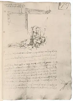 Drives Prints: Leonardo Flying Machine