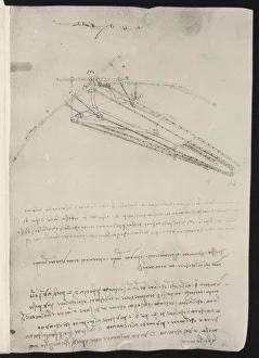 Leonardo Flying Machine