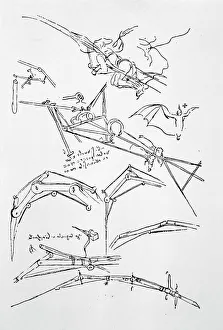 Machines Collection: Leonardo Sketches