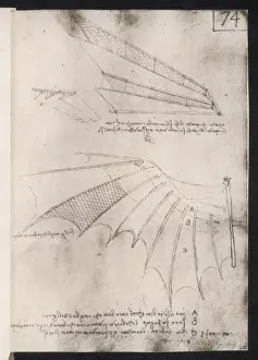Leonardo Wings