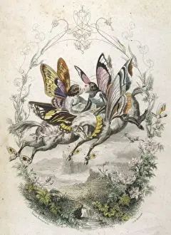 Lepidoptera Ride, Kiss