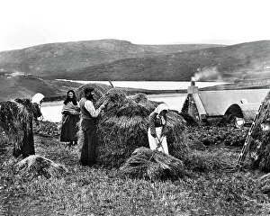 Croft Prints: Lerwick Shetland Hay Yard early 1900s