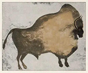Palaeolithic Prints: Les Eyzies Bison (1)