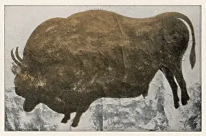 Palaeolithic Prints: Les Eyzies Bison (2)