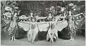 Papillons Prints: Les Papillons at the Empire, presented by Gene as Vanessa Imperialis