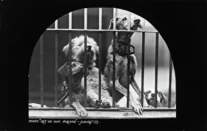 Expressions Prints: Let Us Out, Please