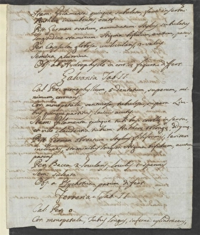 Letter from Vandelli, Domenico