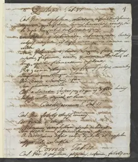 Letter from Vandelli, Domenico