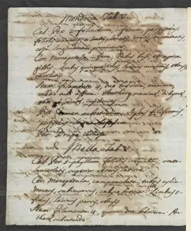 Letter from Vandelli, Domenico
