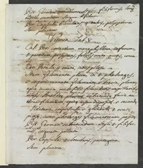 Letter from Vandelli, Domenico