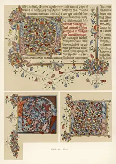 Individual Prints: Letters from Ms Bible
