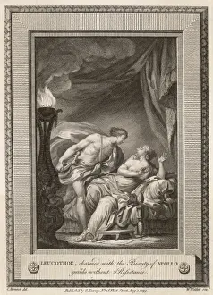 LEUCOTHEA