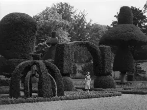 Finest Prints: Levens Hall Topiary