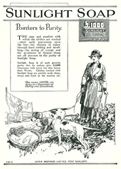 Lever Brothers Sunlight Soap Advertisement