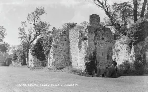 Priory Prints: Lewes Priory Ruins