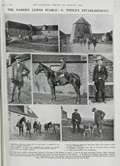Stable Collection: Lewes Stable and Owner G. Poole