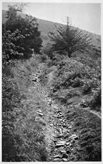Claims Prints: Ley Line Trackway