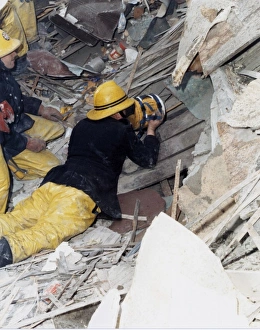 Images Dated: 1988 Collection