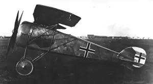 Roland Prints: LFG Roland D XVI German single seat fighter