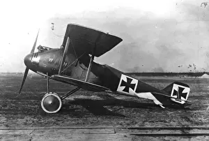 Roland Prints: LFG Roland DII, single seat fighter