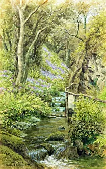 Flowing Prints: Lhen Coan, Groudle Glen, Isle of Man