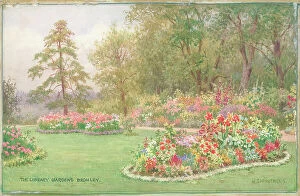 The J Salmon Archive Collection: The Library Gardens, Bromley, London Parks