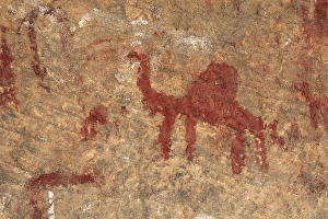 Lybia Collection: LIBYA. Tadrart Acacus. Representation of a dromedary