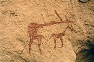 Lybia Collection: LIBYA. Tadrart Acacus. Zoomorphic drawing (circa