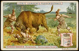 Cattle Prints: Liebig Aurochs