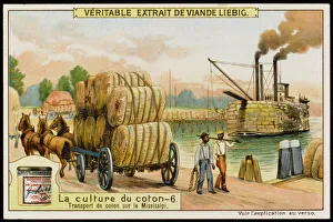 Transporting Gallery: Liebig / Cotton 6