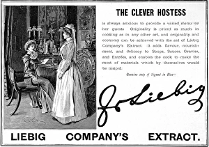 Housekeeper Gallery: Liebig extract