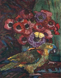 Still Life