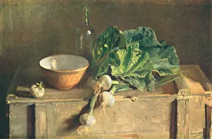 Still Life