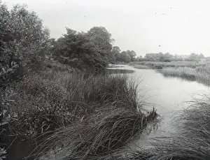 Life of Charles Dickens - On the Wiltshire Avon