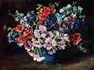 Still Life Flowers