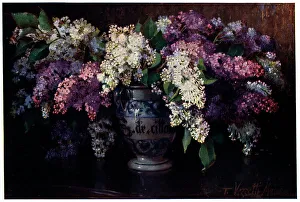 Still Life Flowers