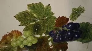 Images Dated 11th February 2011: Still life of grapes