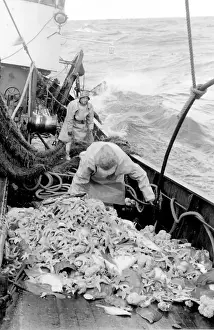 Life on a North Sea trawler