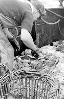 Life on a North Sea trawler