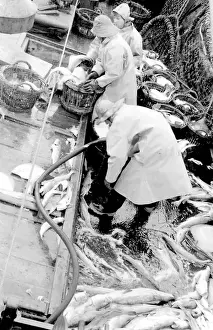 Life on a North Sea trawler