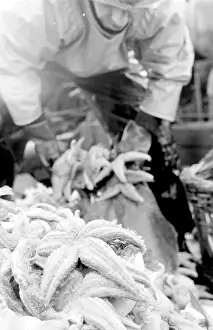 Life on a North Sea trawler