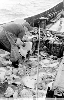 Life on a North Sea trawler