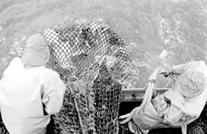Life on a North Sea trawler